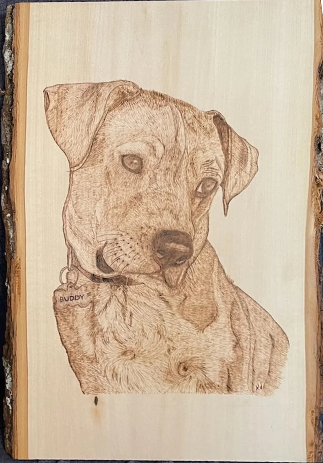 Dog Portrait Burning
