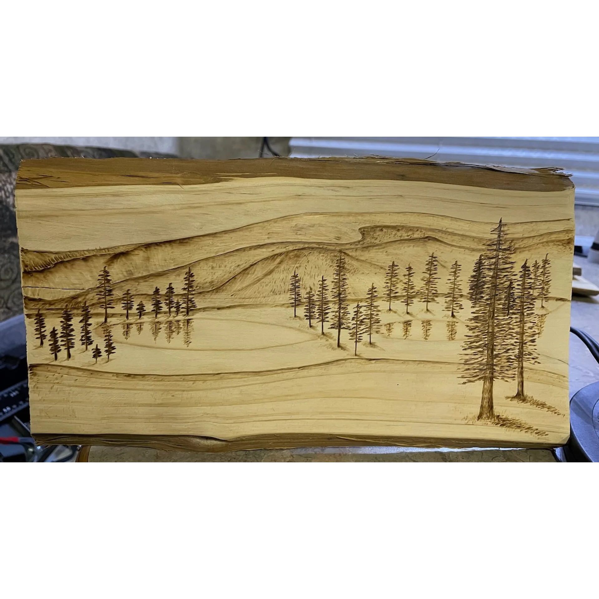 Tree Burning